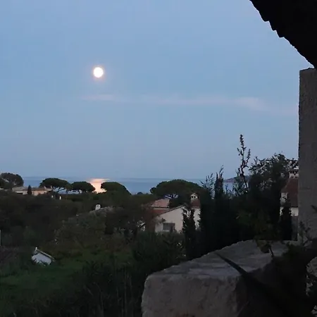 Apartament Le Gecko Sea View *