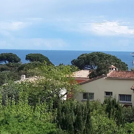 Apartment Le Gecko Sea View