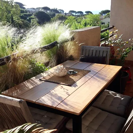 Apartment Le Gecko Sea View *